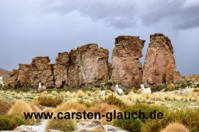 Abfahrt vom Uturuncu Carsten Glauch - fahrradtour Südamerika - Bolivien - 6.JPG