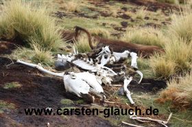 Eselsklett - Carsten Glauch - fahrradtour Südamerika - Bolivien - 3.JPG