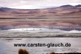 laguna colorada Carsten Glauch - fahrradtour Südamerika - Bolivien - 2.JPG