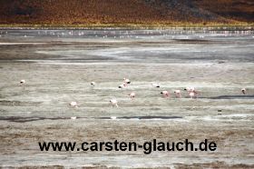 Lagune mit Flamingos - Carsten Glauch - fahrradtour Südamerika - Bolivien - 1.JPG